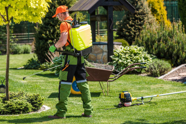 Best Bee and Wasp Removal  in South Valley Stream, NY